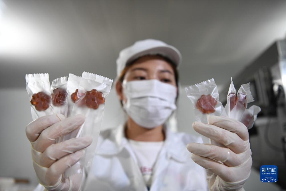 og东方厅官网