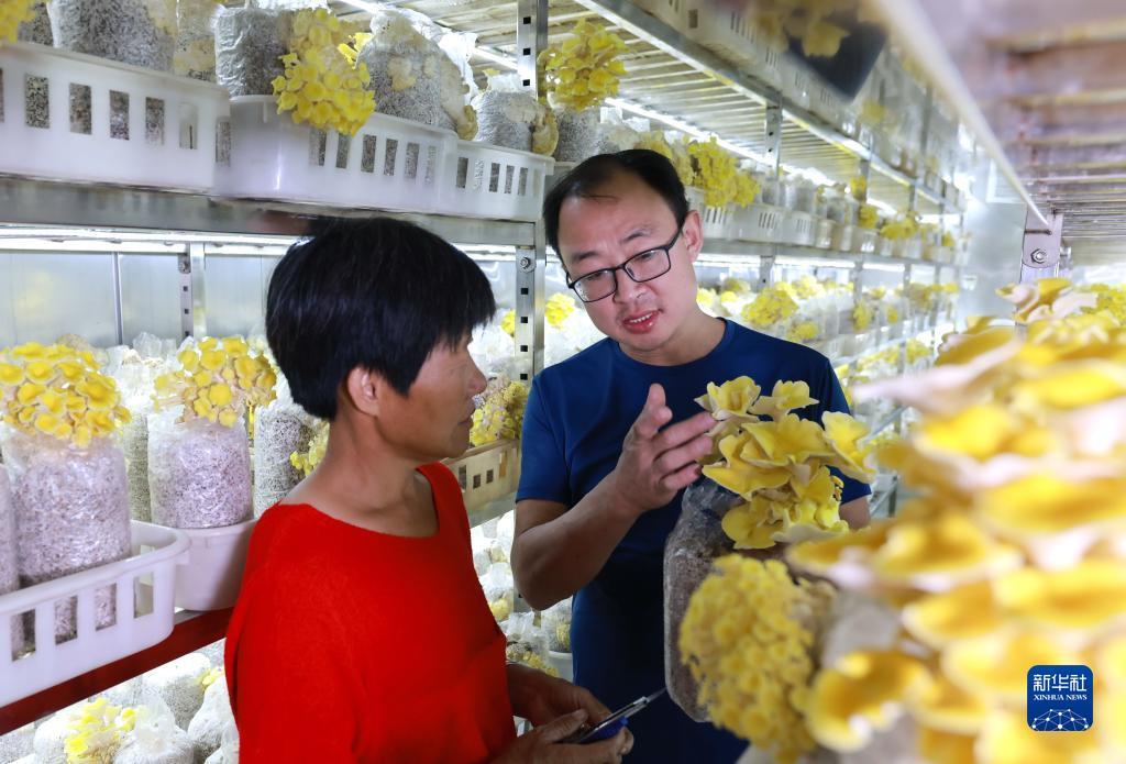 捕鱼游戏开发定制